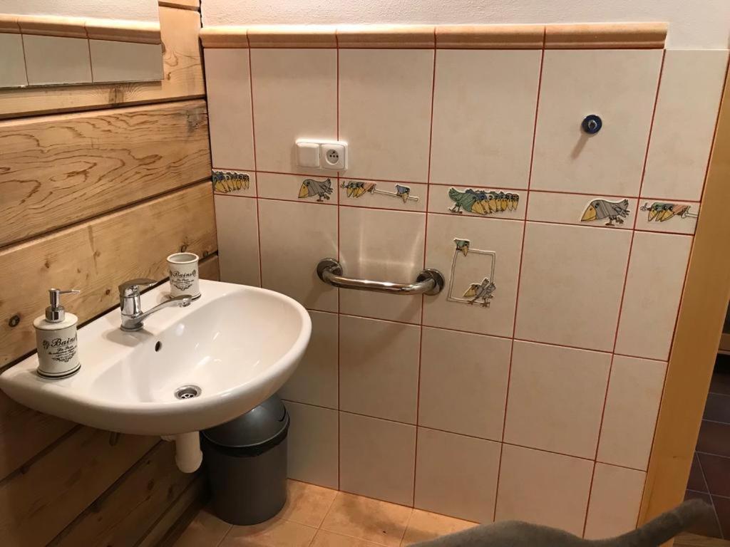 Samota U Hadince Hotel Bartosovice v Orlickych Horach Eksteriør billede
