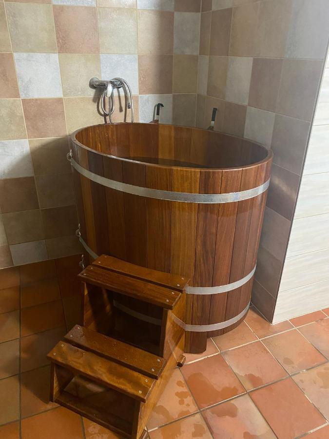 Samota U Hadince Hotel Bartosovice v Orlickych Horach Eksteriør billede